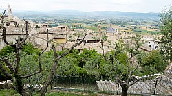 Thumbnail of P1020148-Assisi.jpg