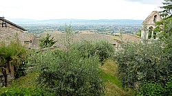 Thumbnail of P1020156-Assisi.jpg
