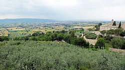 Thumbnail of P1020183-Assisi.jpg