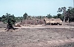 Thumbnail of Westafrika 1986-02-032.jpg