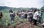 Thumbnail of Westafrika 1986-02-055.jpg