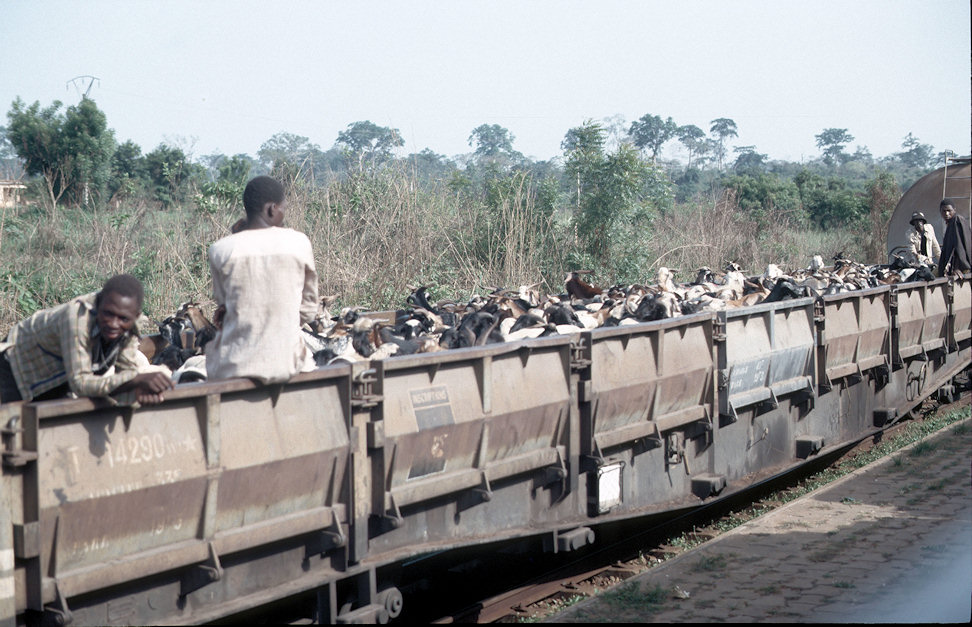 Westafrika 1986-01-140.jpg