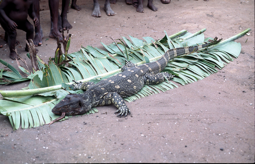 Westafrika 1986-01-163.jpg