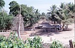 Thumbnail of Westafrika 1986-01-160.jpg