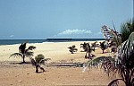 Thumbnail of Westafrika 1986-01-189.jpg