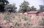 Thumbnail of Westafrika 1986-02-022.jpg