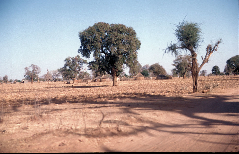 Westafrika 1986-01-103.jpg