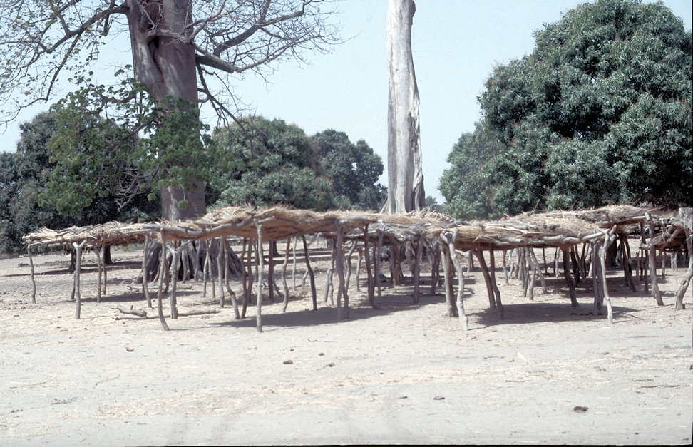 Westafrika 1986-01-106.jpg