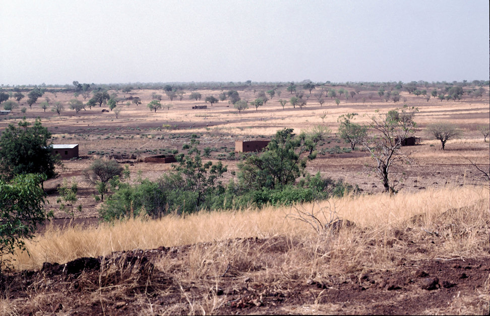 Westafrika 1986-01-129.jpg