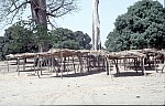 Thumbnail of Westafrika 1986-01-106.jpg