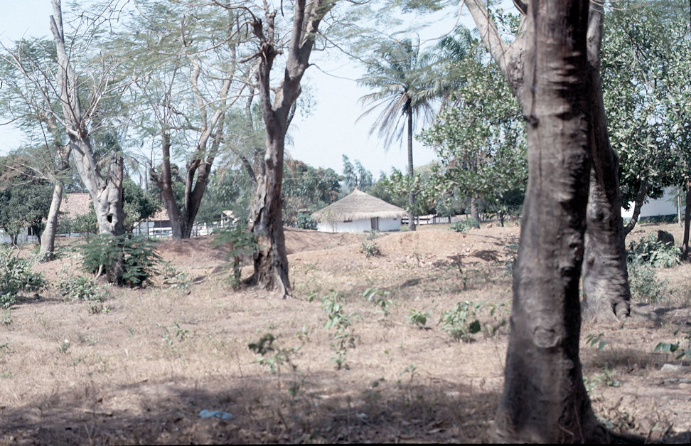 Westafrika 1986-01-032.jpg