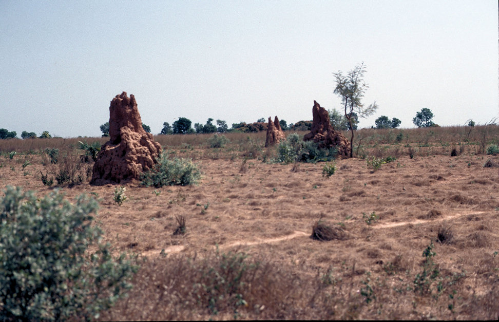 Westafrika 1986-01-033.jpg