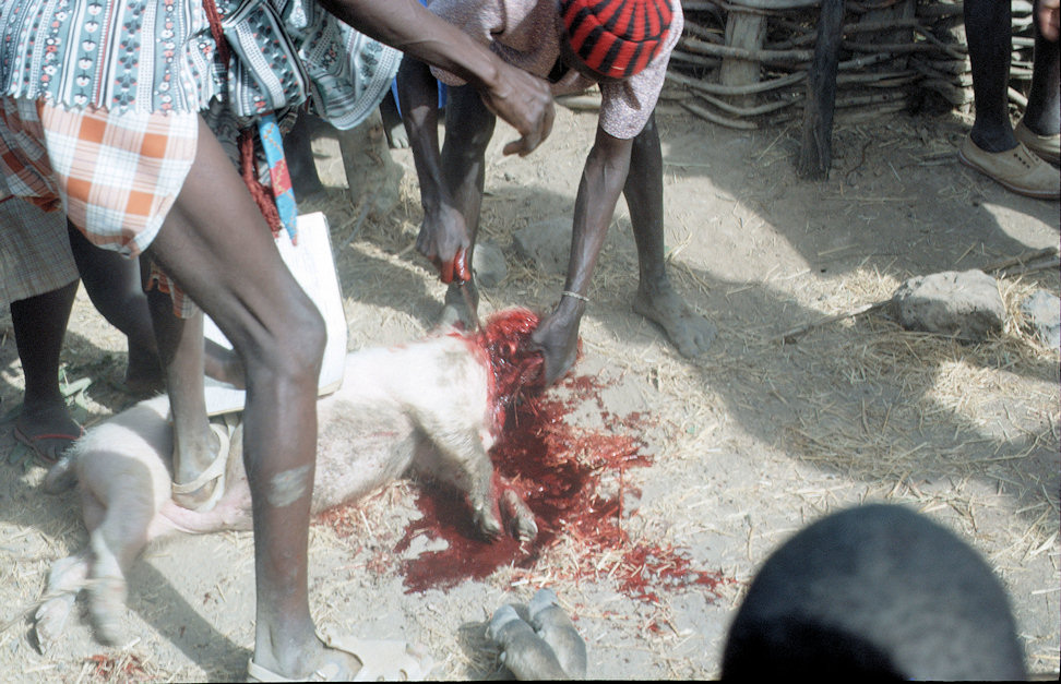 Westafrika 1986-01-052.jpg