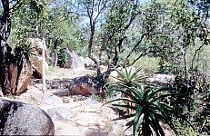 Thumbnail of Sudafrika bis Tansania 1995-01-151.jpg
