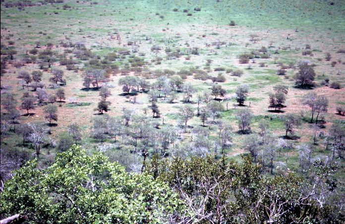 Sudafrika bis Tansania 1995-01-087.jpg