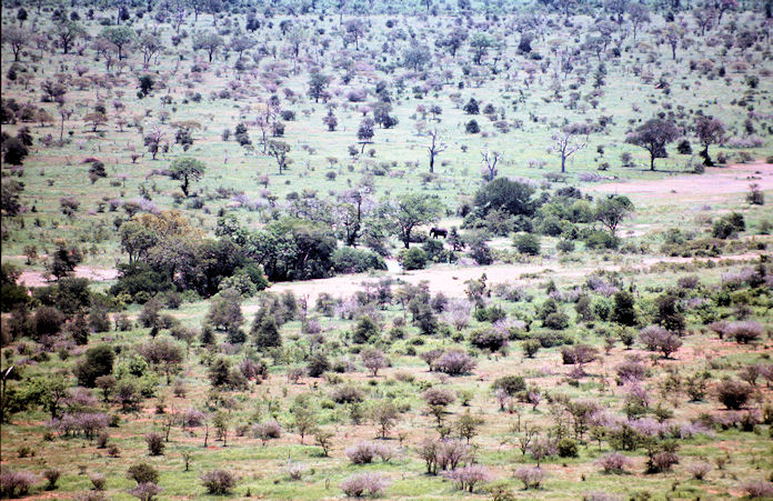 Sudafrika bis Tansania 1995-01-091.jpg
