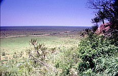 Thumbnail of Sudafrika bis Tansania 1995-01-088.jpg