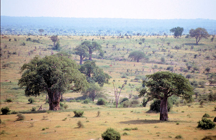 Sudafrika bis Tansania 1995-02-101.jpg