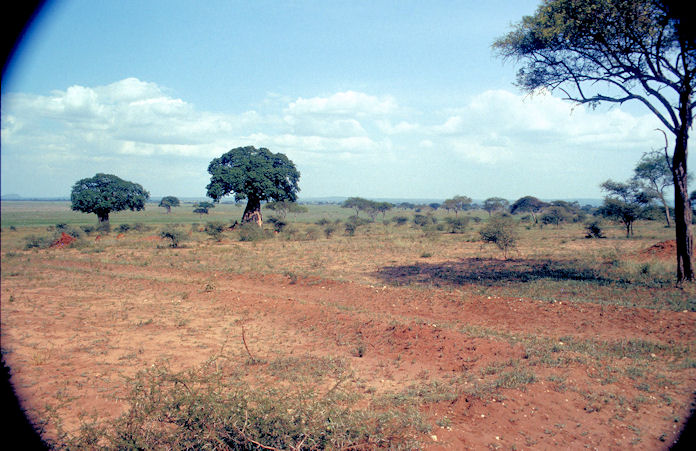 Sudafrika bis Tansania 1995-02-105.jpg