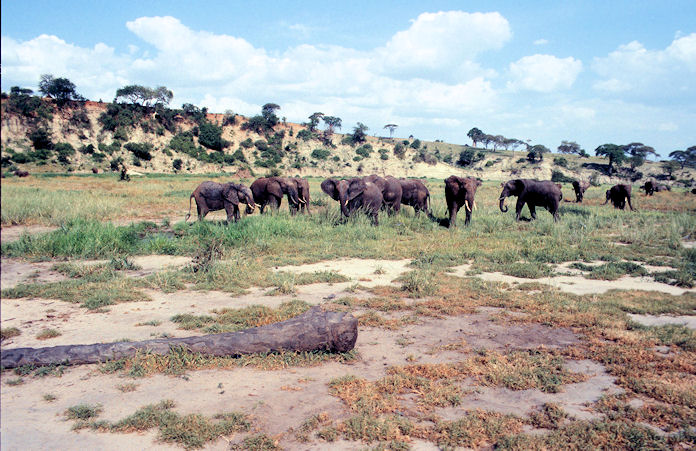 Sudafrika bis Tansania 1995-02-106.jpg