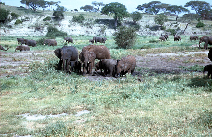 Sudafrika bis Tansania 1995-02-107.jpg