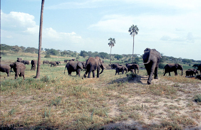 Sudafrika bis Tansania 1995-02-108.jpg
