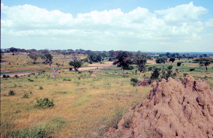 Sudafrika bis Tansania 1995-02-114.jpg