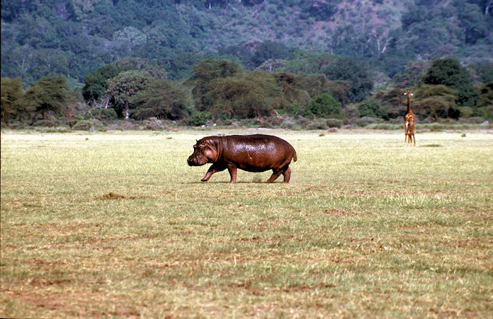 Sudafrika bis Tansania 1995-02-119.jpg