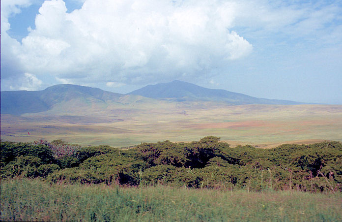 Sudafrika bis Tansania 1995-02-134.jpg