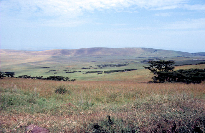Sudafrika bis Tansania 1995-02-135.jpg