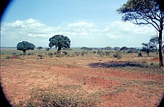 Thumbnail of Sudafrika bis Tansania 1995-02-105.jpg