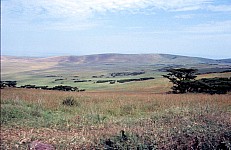 Thumbnail of Sudafrika bis Tansania 1995-02-135.jpg