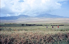 Thumbnail of Sudafrika bis Tansania 1995-02-136.jpg