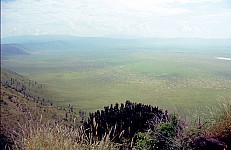Thumbnail of Sudafrika bis Tansania 1995-02-138.jpg