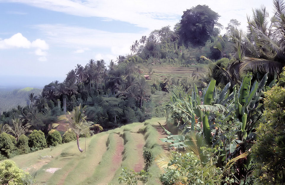 Indonesien 1991-02-082.jpg