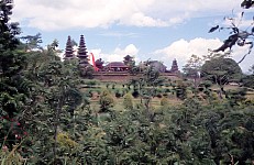 Thumbnail of Indonesien 1991-02-075.jpg