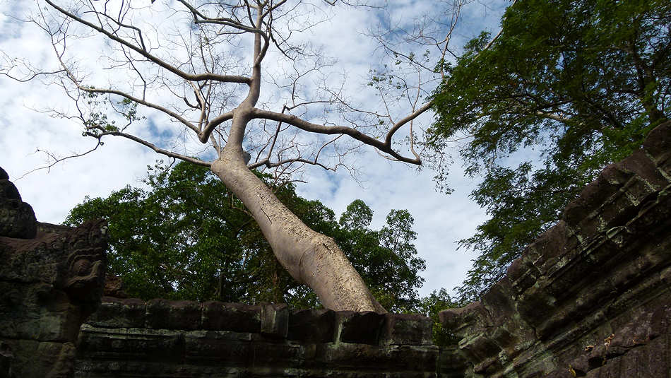 P1010479_Angkor_Preah_Khan.jpg