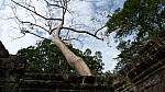 Thumbnail of P1010479_Angkor_Preah_Khan.jpg