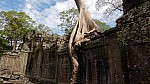 Thumbnail of P1010522_Angkor_Preah_Khan.jpg