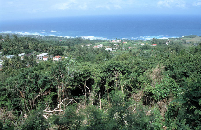 Barbados-01-132.jpg