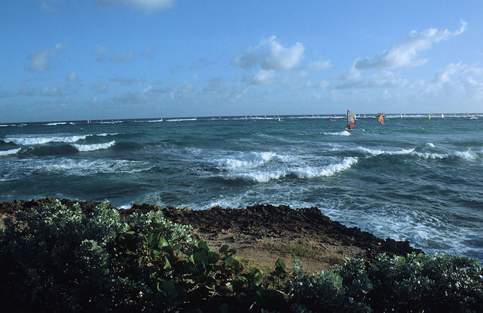 Barbados-01-137.jpg