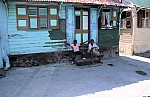 Thumbnail of Dominica-02-125.jpg