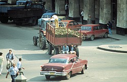 Thumbnail of Kuba 1997 1998-01-069.jpg