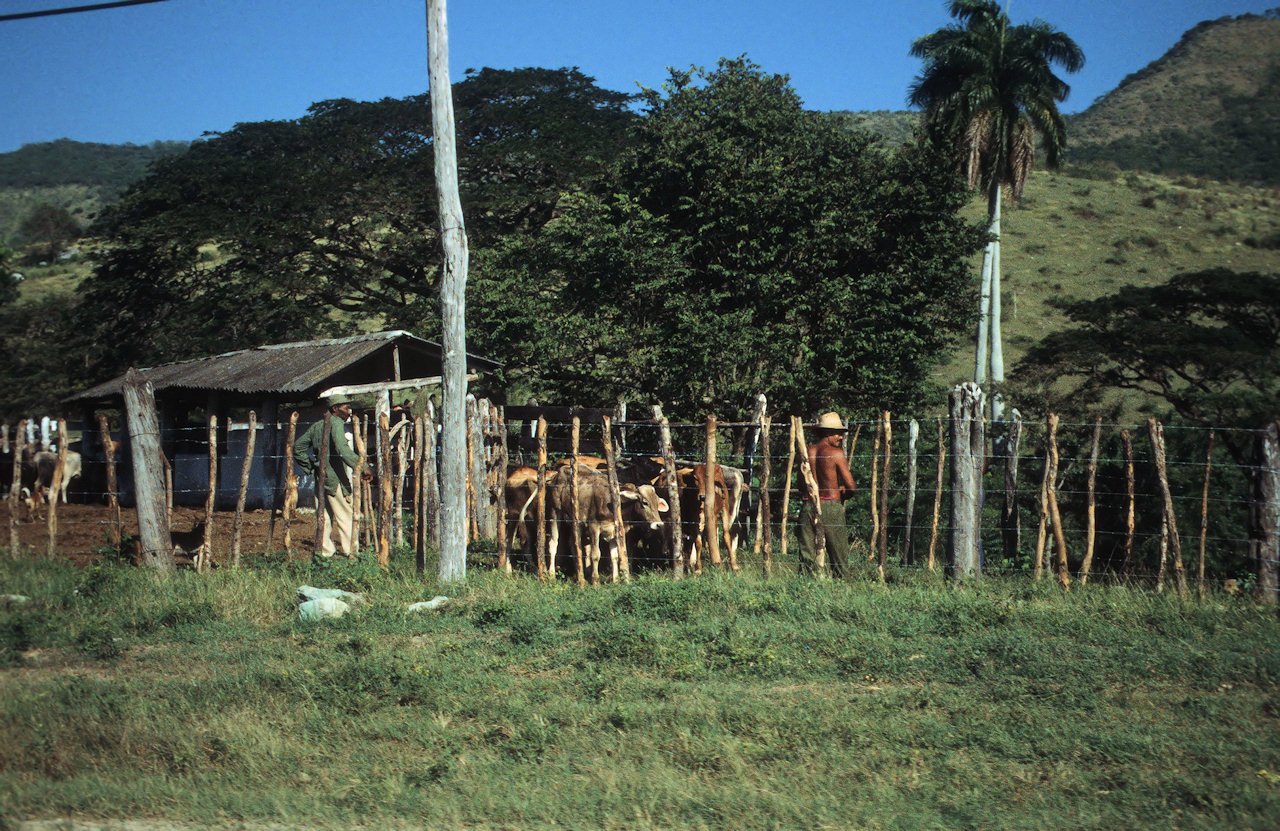 Kuba 1997 1998-02-004.jpg