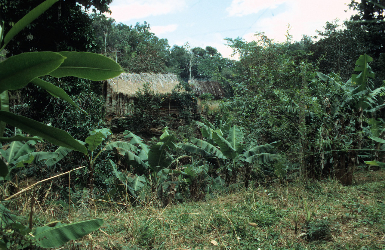Kuba 1997 1998-02-089.jpg
