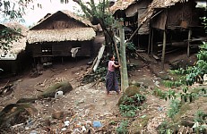 Thumbnail of Myanmar 2000-01-115.jpg