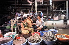 Thumbnail of Myanmar 2000-01-131.jpg