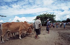 Thumbnail of Myanmar 2000-01-147.jpg