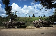 Thumbnail of Myanmar 2000-01-177.jpg