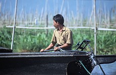 Thumbnail of Myanmar 2000-02-082.jpg